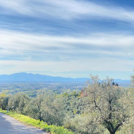 Leonardo Da Vinci - Appartamento Nel Verde Con Parcheggio E Wi-Fi Bagian luar foto