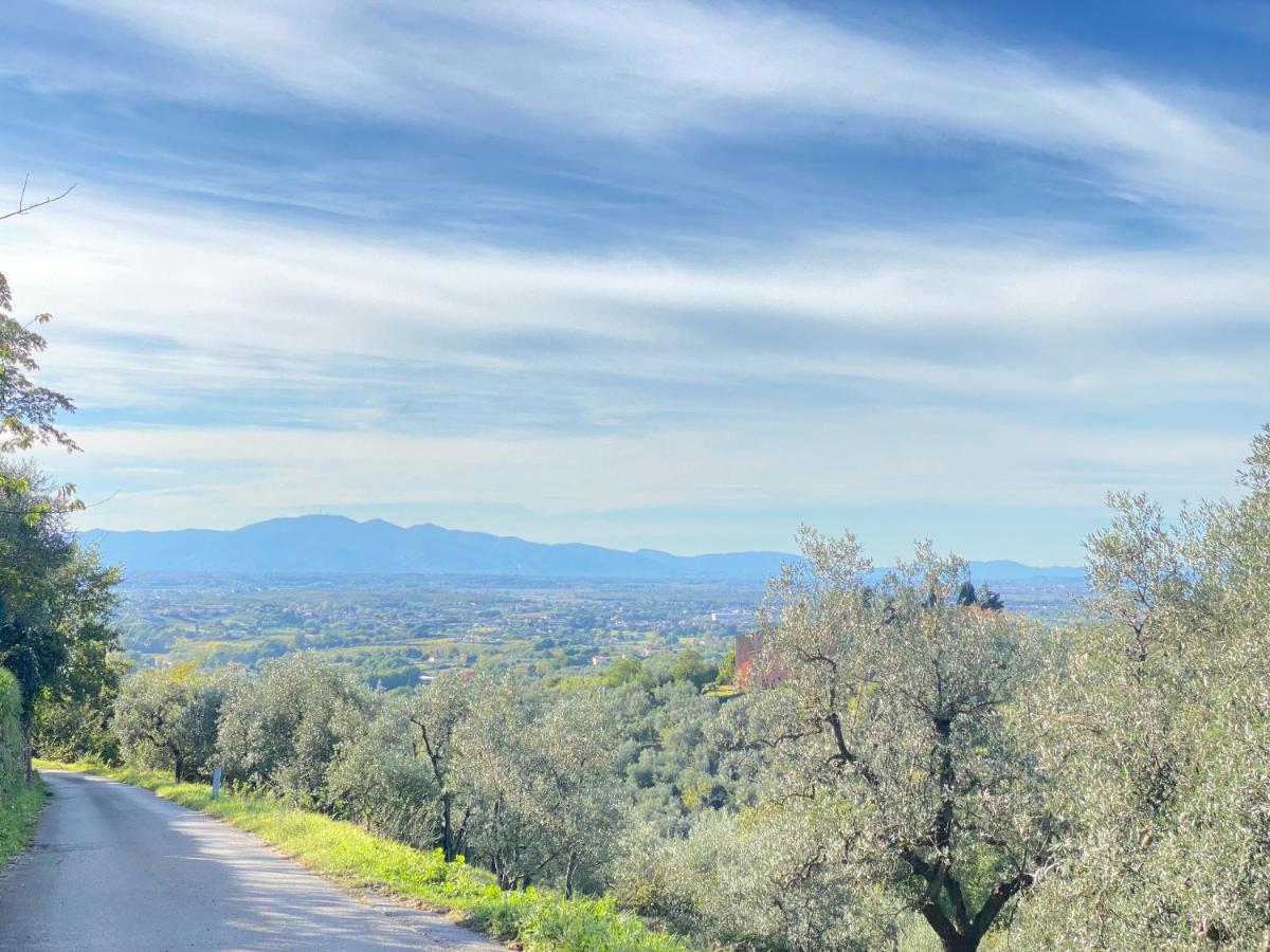 Leonardo Da Vinci - Appartamento Nel Verde Con Parcheggio E Wi-Fi Bagian luar foto